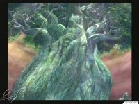 Click Here To Enlarge!